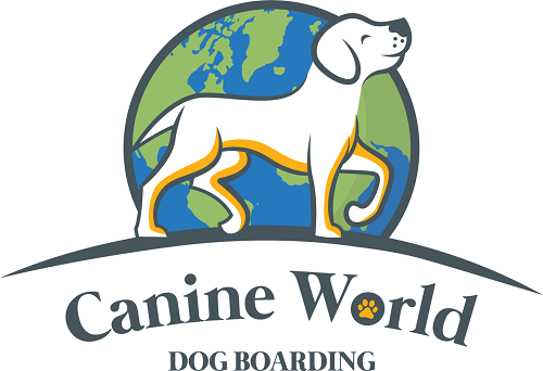 Canine World Dog Boarding Full 1536x1051 1