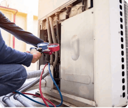 Screen Shot 2024 05 1