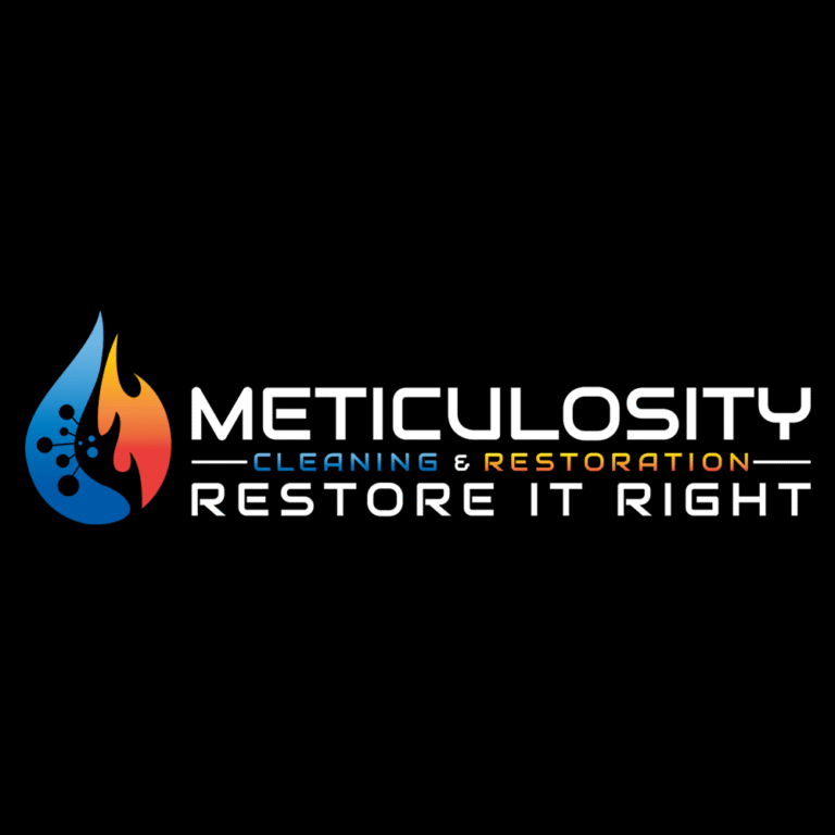 Meticulocity logo 768x768