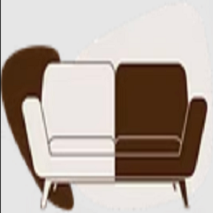 Pro Steam Cleaning Logo