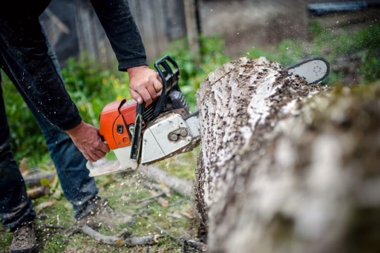 Safe and Affordable Tree Removal Services 768x512