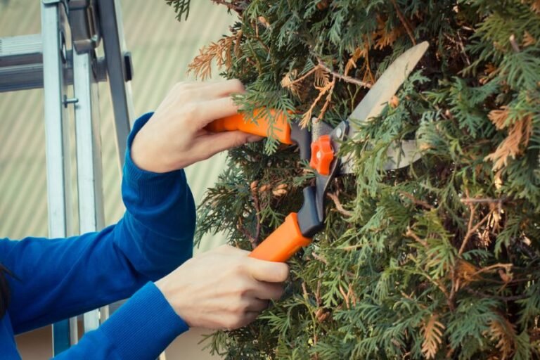 fallen tree removal service springfield missouri 768x512