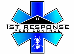 imgi 1 cropped cropped Untitled design 4