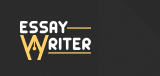 essay writer logo
