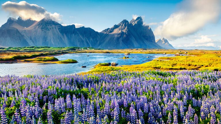 Best Travel Agency in Lugoff 768x432