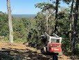 Emergency tree removal