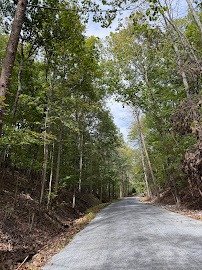 Land clearing services