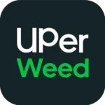 cropped logo e1752247339577