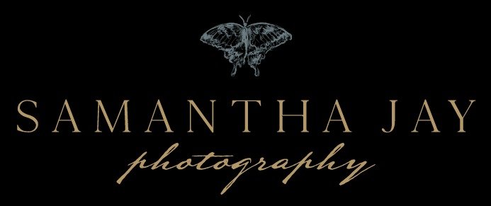 imgi 47 logo files 05