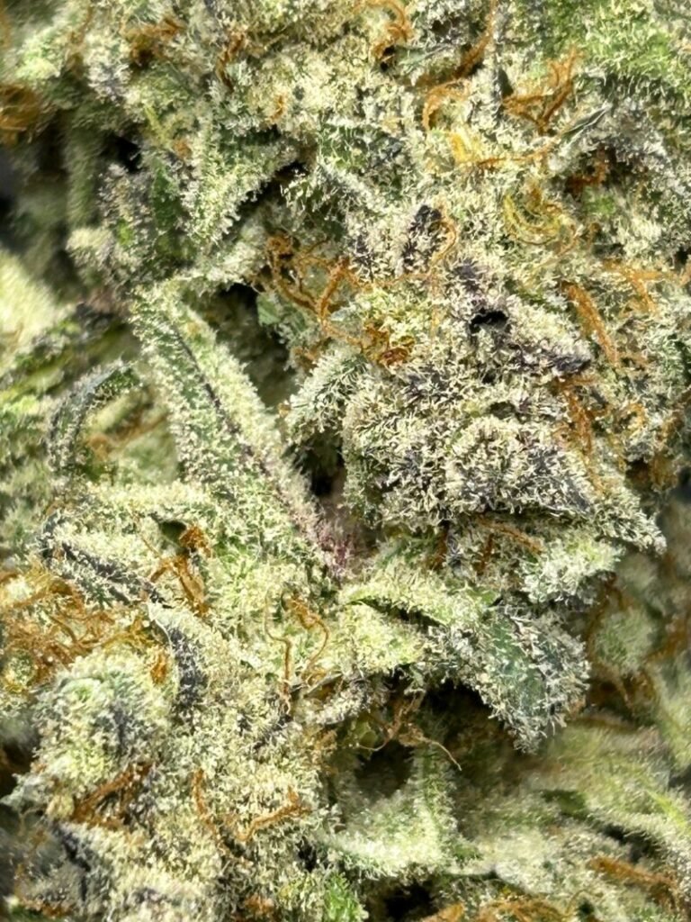 imgi 68 918b0def 20d7 4f1f 9a35 51d6795941f7 800x1067 1 768x1024