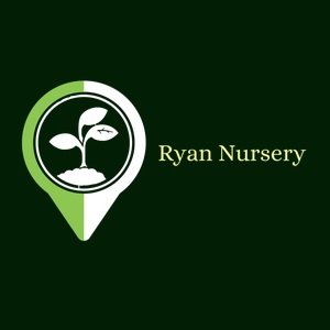 ryannursery
