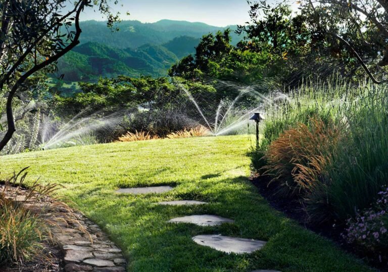 2017 2 landscape d432dfff5156f2247accfd4750585967 60425a65a0ddd 768x538