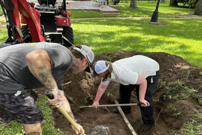 P 1 21 768x512