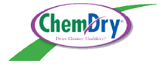 carpet care logo