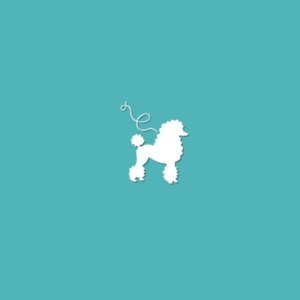 diamondshowpoodles
