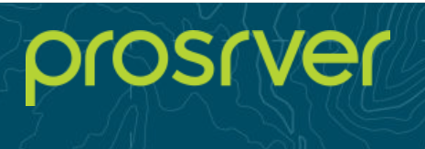 ProSrver Logo