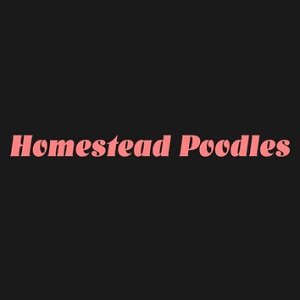 homesteadpoodles