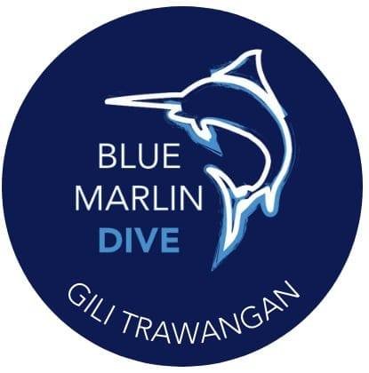 logo 12