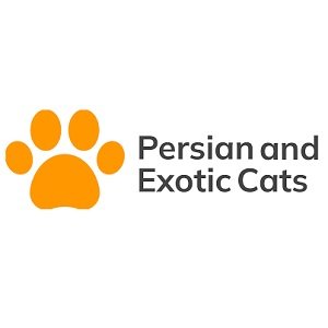 persianandexoticcats