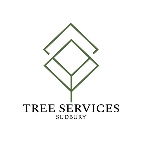 00logo 1