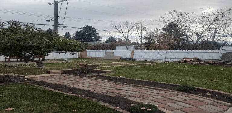 apple tree after removal 768x373