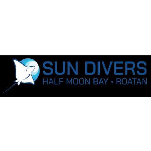 logo 20251221042758
