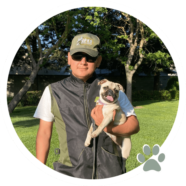 jpk9 academy dog training camp 768x768