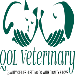 logo medium 1