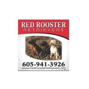 redroosterretrievers