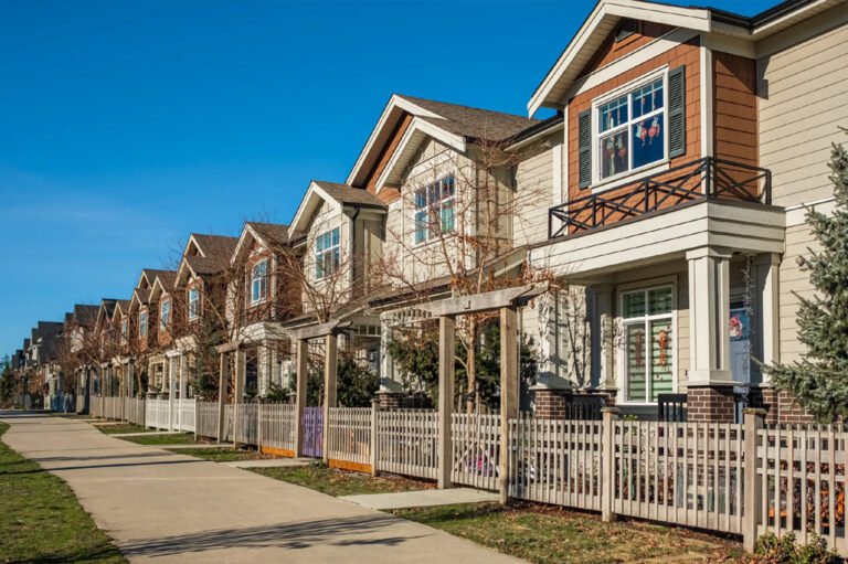 P 1 1 768x511