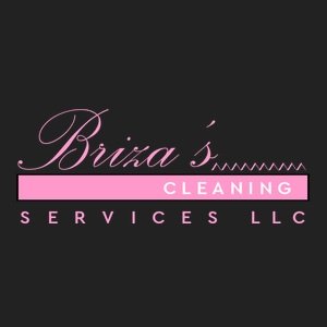 brizascleaningservices