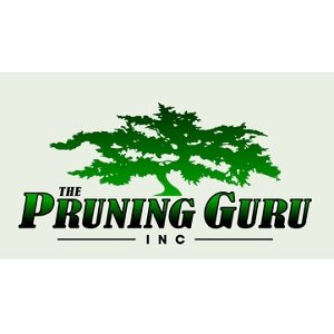 pruningguru