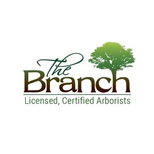 thebranch