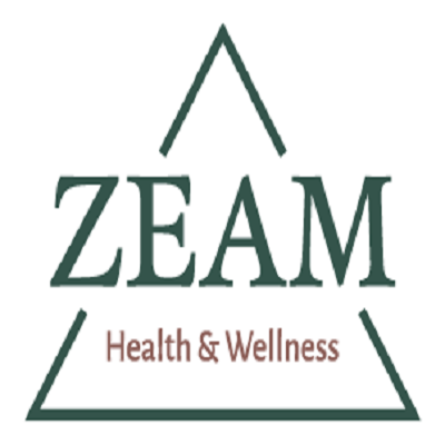 imgi 1 zeam logo Color
